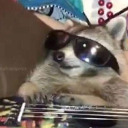 chlorine-caprisun avatar