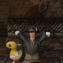 chocoboinspectorbalduin avatar