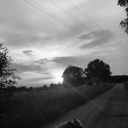 chocolate-noodles avatar