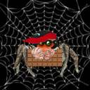 chocolate-spider avatar