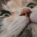 chocolatemint avatar