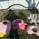 chrissythesagittarius avatar