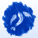 christianharrop avatar