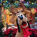 christmasatdisneyland avatar