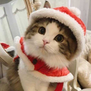 christmasmew avatar