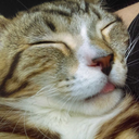 chronicallytiredofeverything avatar