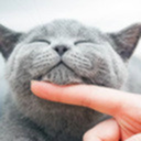 chxsingthemoon-ooc avatar