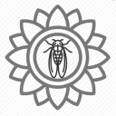 cicadasunflower avatar