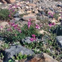 ciel-du-nord-blog avatar