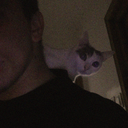 cigarettes-and-loneliness avatar