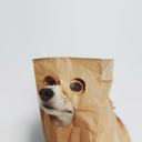 cinnamaaldehyde avatar