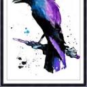 cipherofthisworld avatar