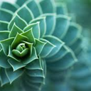 circle-of-positivity avatar