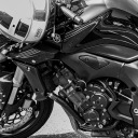 circus-sonata avatar