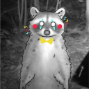 circusraccoons avatar