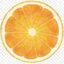 citrusdelight avatar