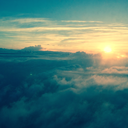 citruskisses-calloushugs avatar