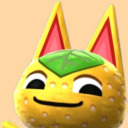 citruskitty avatar