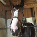 civildisturbance avatar