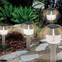 clairetankian avatar