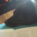 clara-barkton avatar