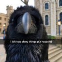 classiccoffee avatar