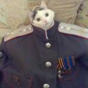 clawingmywayupward avatar