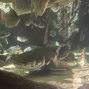 claycreations avatar