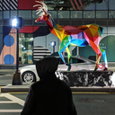 cleaversforkittens avatar