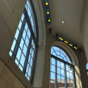 clementine-elegance avatar