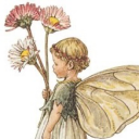 clementinelavie avatar