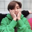 climateactivism avatar