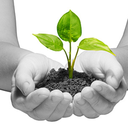 climatenowornever avatar