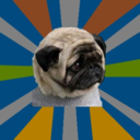 clinicallydepressedpug avatar