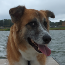 clocksallzeros avatar