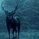 clockworktrickster avatar