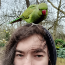 closeted-goth avatar