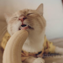 clouded-vision22 avatar