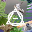 cloudy-the-therian avatar