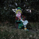 clownhusbandryexpert avatar