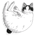 clumsycluster avatar