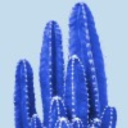 cobalt-cactus avatar