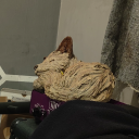 cobalt-fox-ren avatar