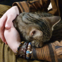 coboldpatrool avatar