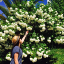 cocaineforever avatar