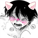 cockhungrycatboy avatar