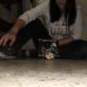 cockroachmf-blog avatar