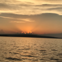 coconutblonde avatar