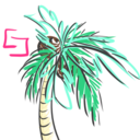 coconutcavalier avatar