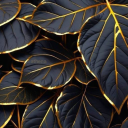 coffee1coffee avatar